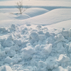 屋根の雪