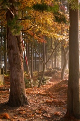 水神社