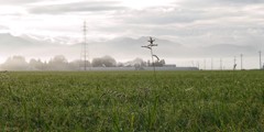 SDIM0754