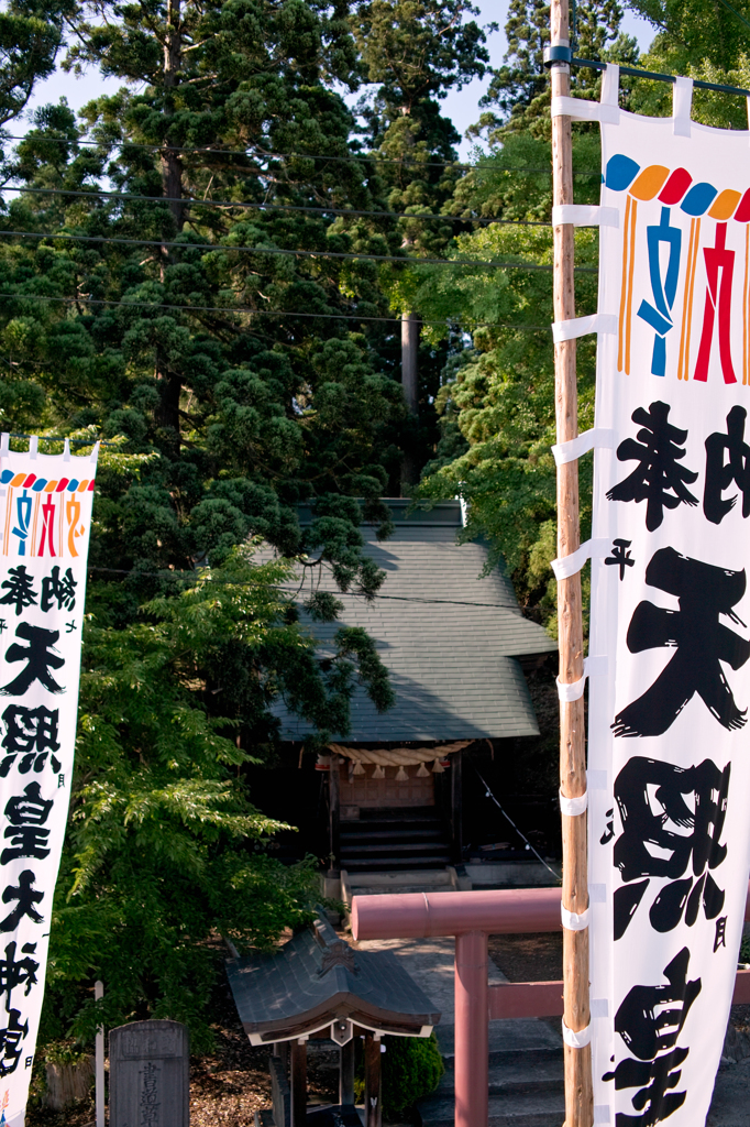 夏越の大祓