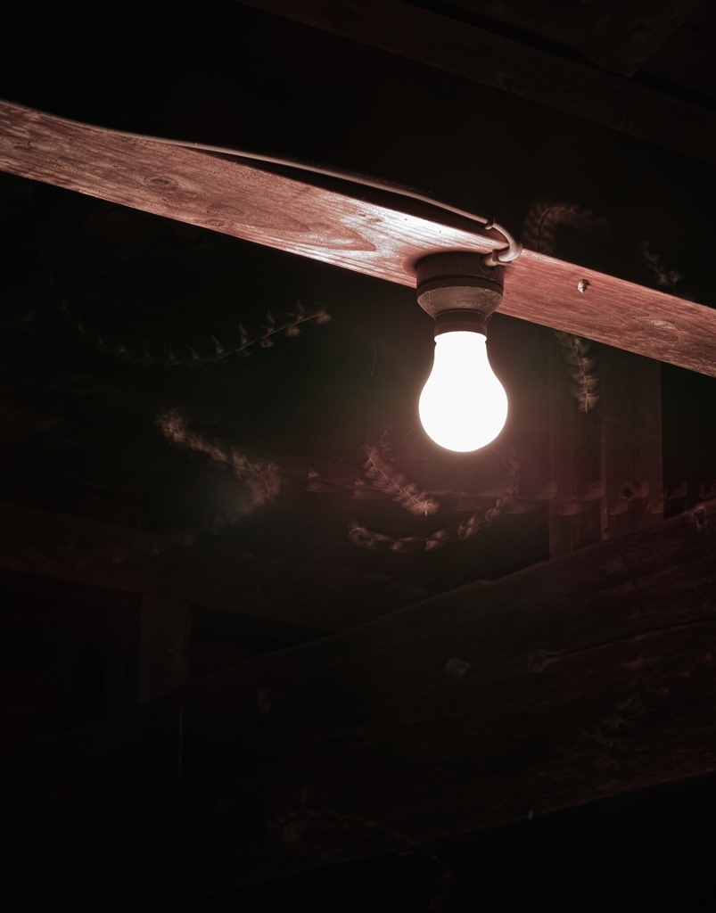 裸電球