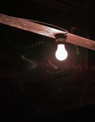 裸電球
