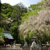 伊豆山神社