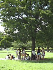Liveｓ in the Park Vol,1 04