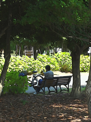 Lives in the Park Vol,2 12
