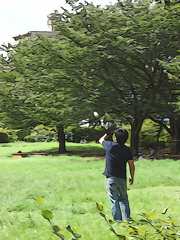 Liveｓ in the Park Vol,1　05