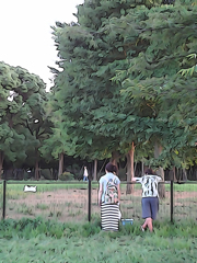 Lives in the Park Vol,5 03