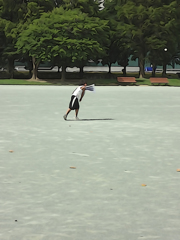 Lives in the Park Vol,7 01