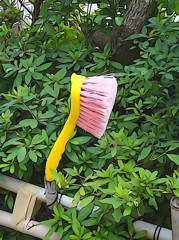 植え込みにブラシ・・・？