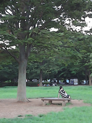 Lives in the Park Vol,5 04