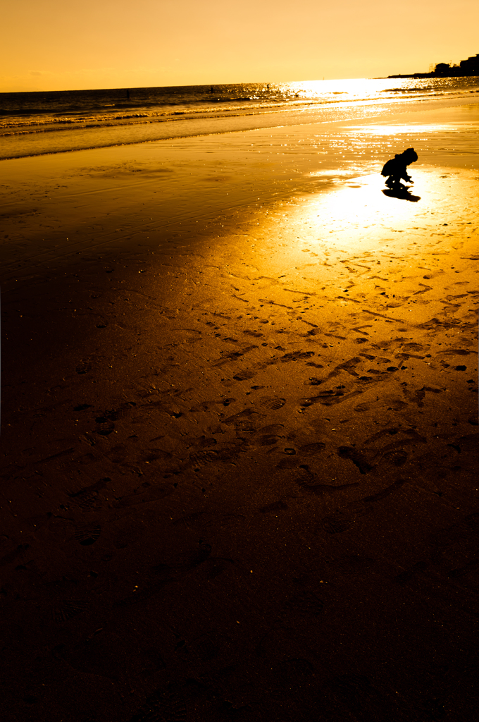 浜辺の記憶2012-2013DSC02494