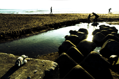 浜辺の記憶2012-2013DSC02807