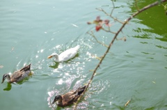 気持ち良さそう〜