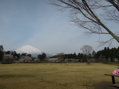 DSCN4019