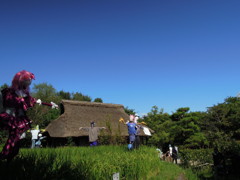 DSCN2229