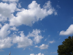 空