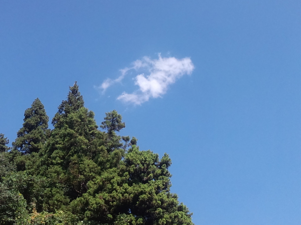 魚雲