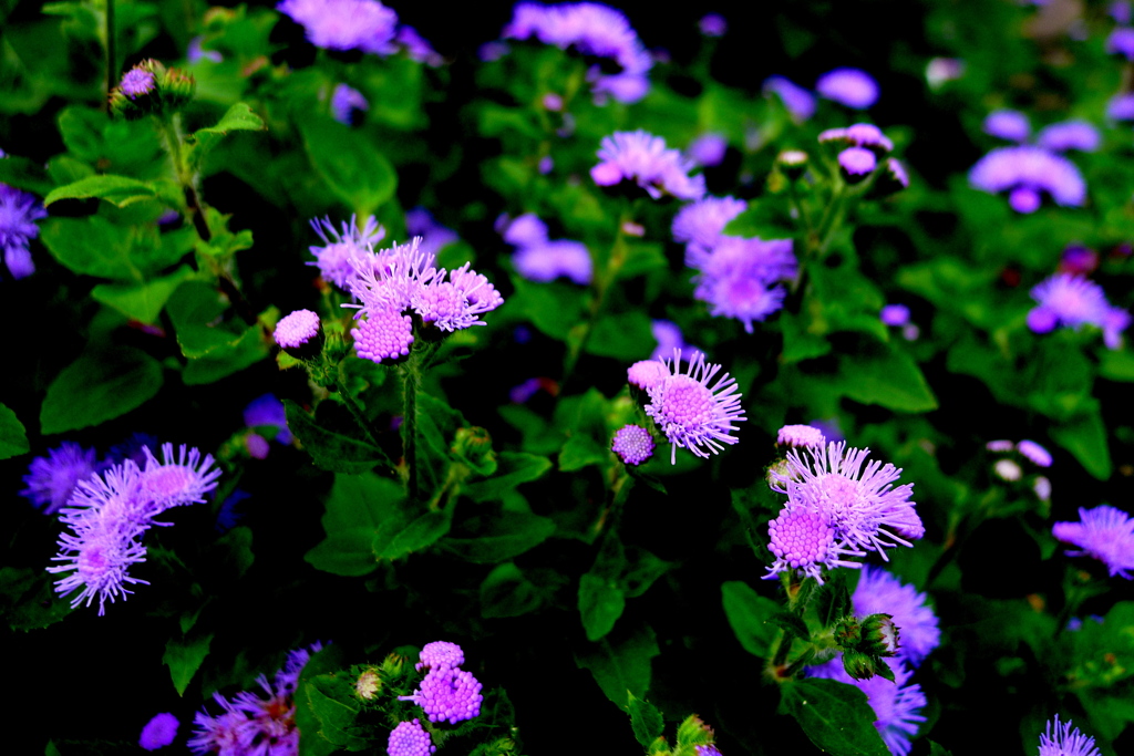 P1110699-002