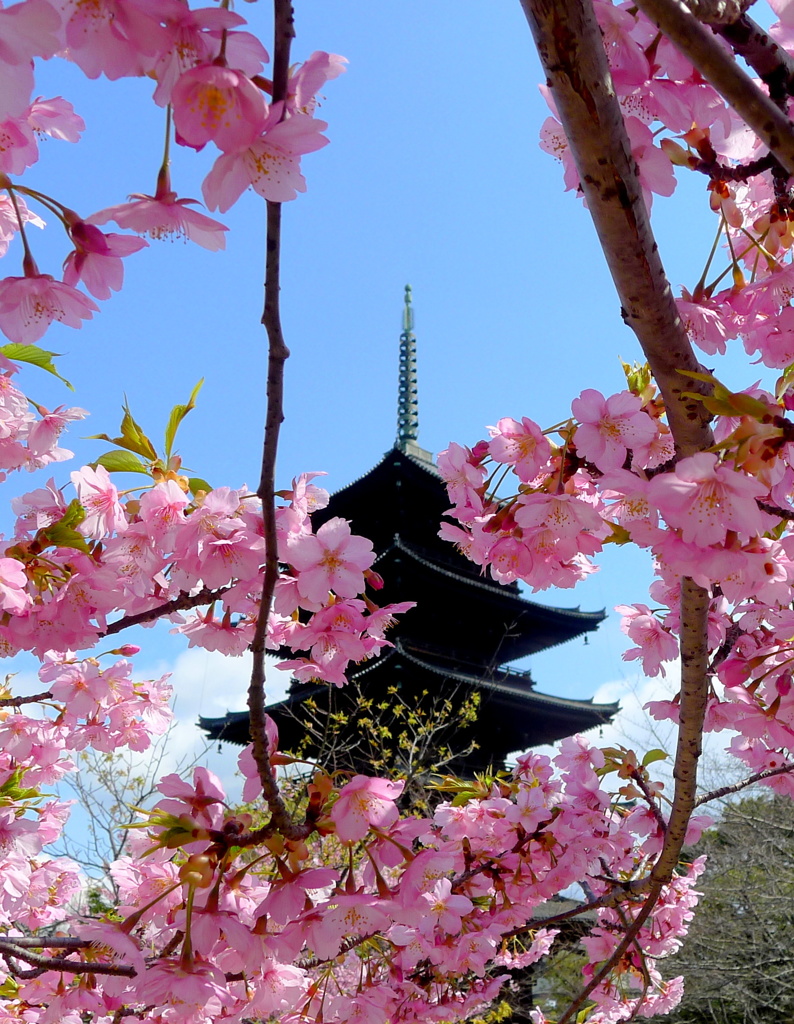 東寺