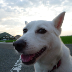 梅雨明けしたらしいね！