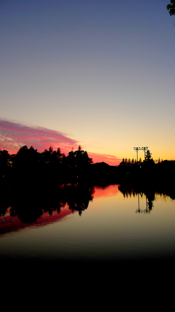 夕泥む自楽園