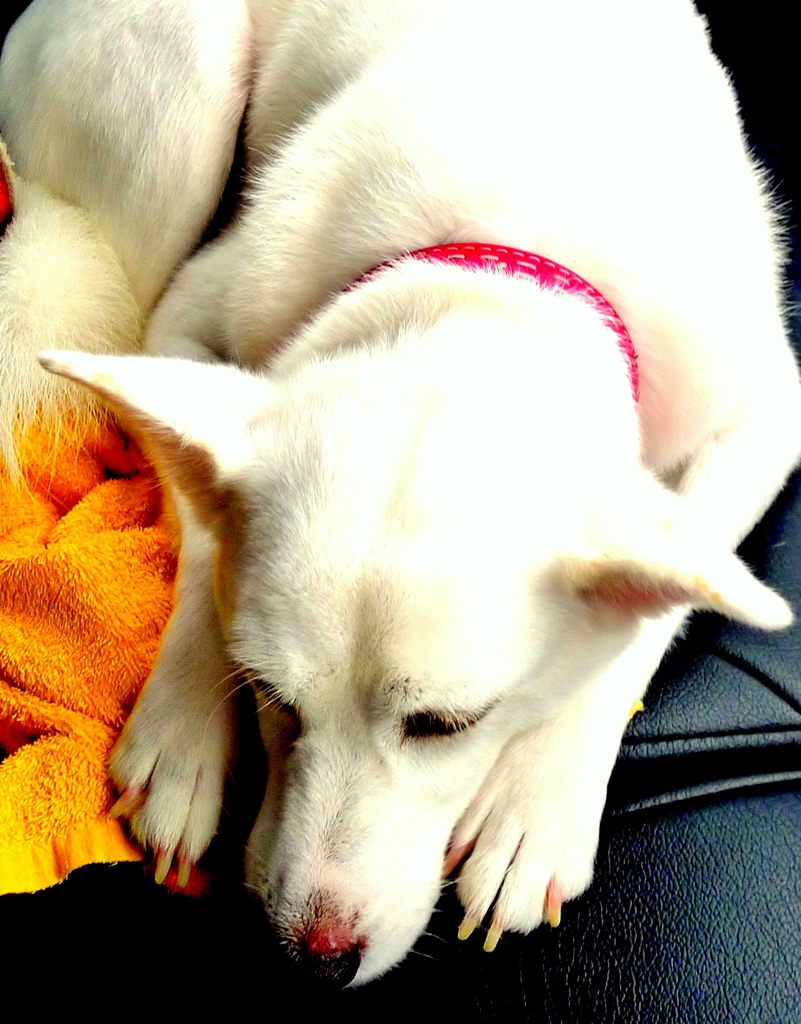 Passenger seat
