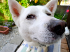 疑いのマナザシ