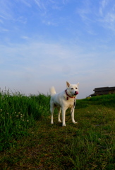 オナカへったよー