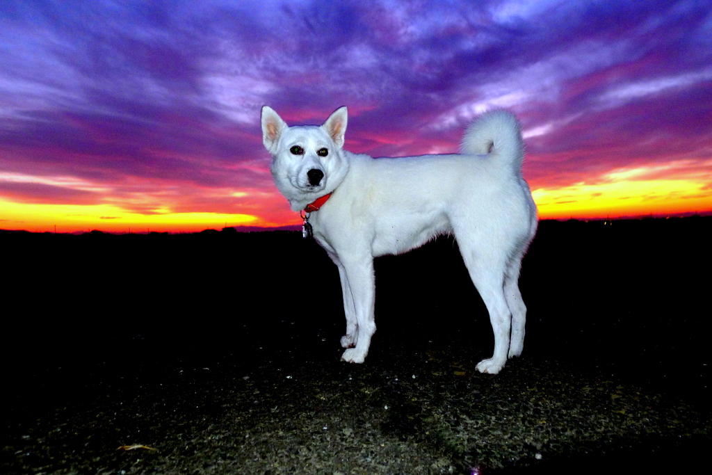 最近冷え込むナー！