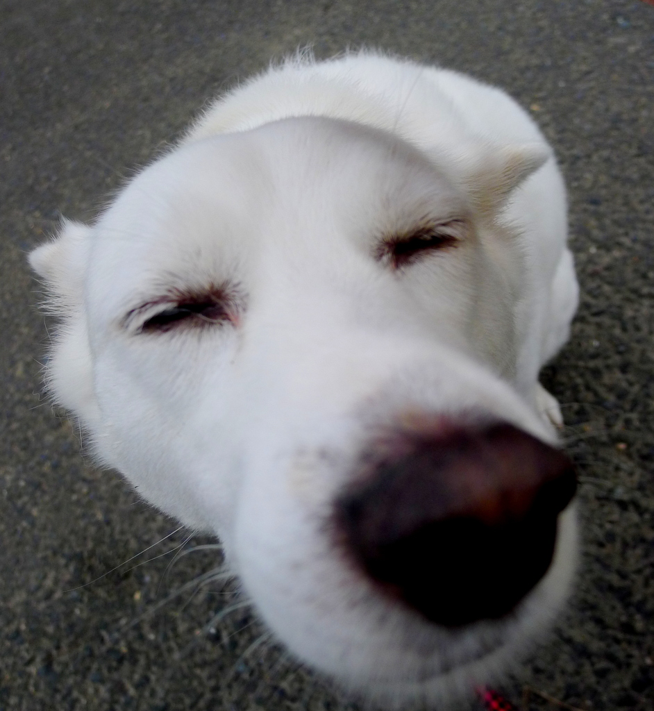 笑ってる？？