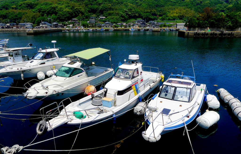 長崎　松浦　福島の薫風