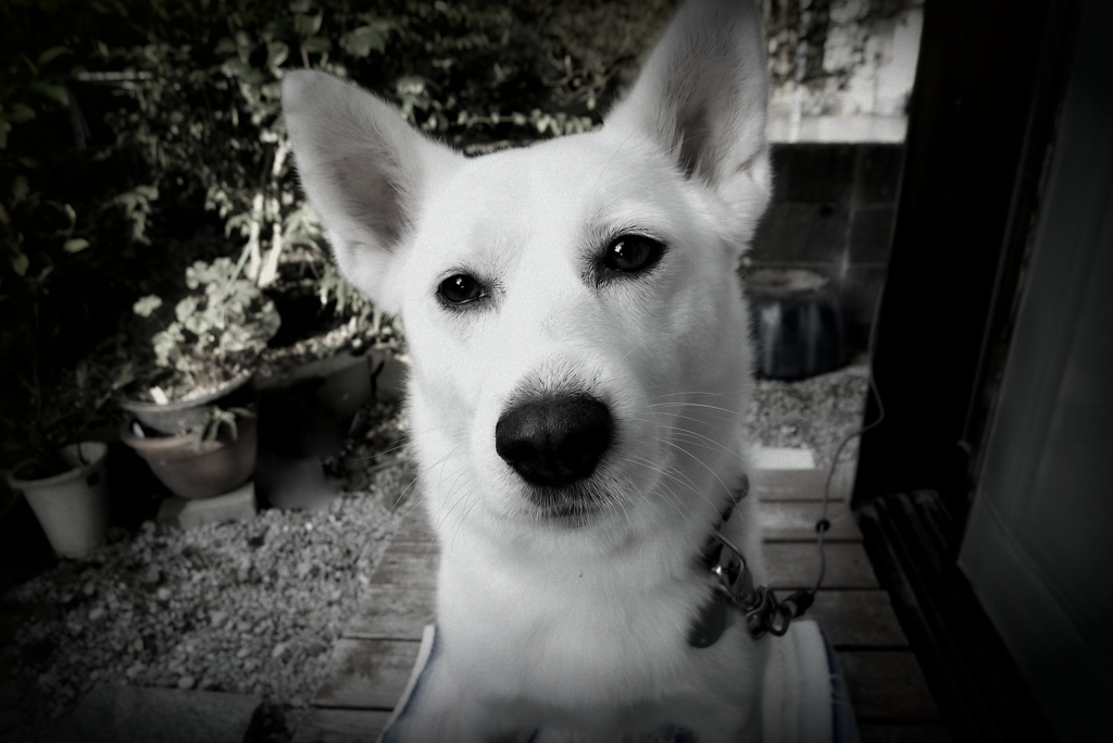 視線・モノクローム