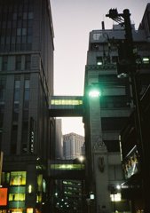 日本橋　宵の口