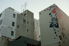 日本橋横山町界隈
