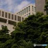新川