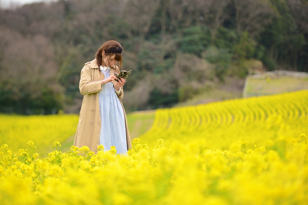 菜の花撮るふり妻を撮る