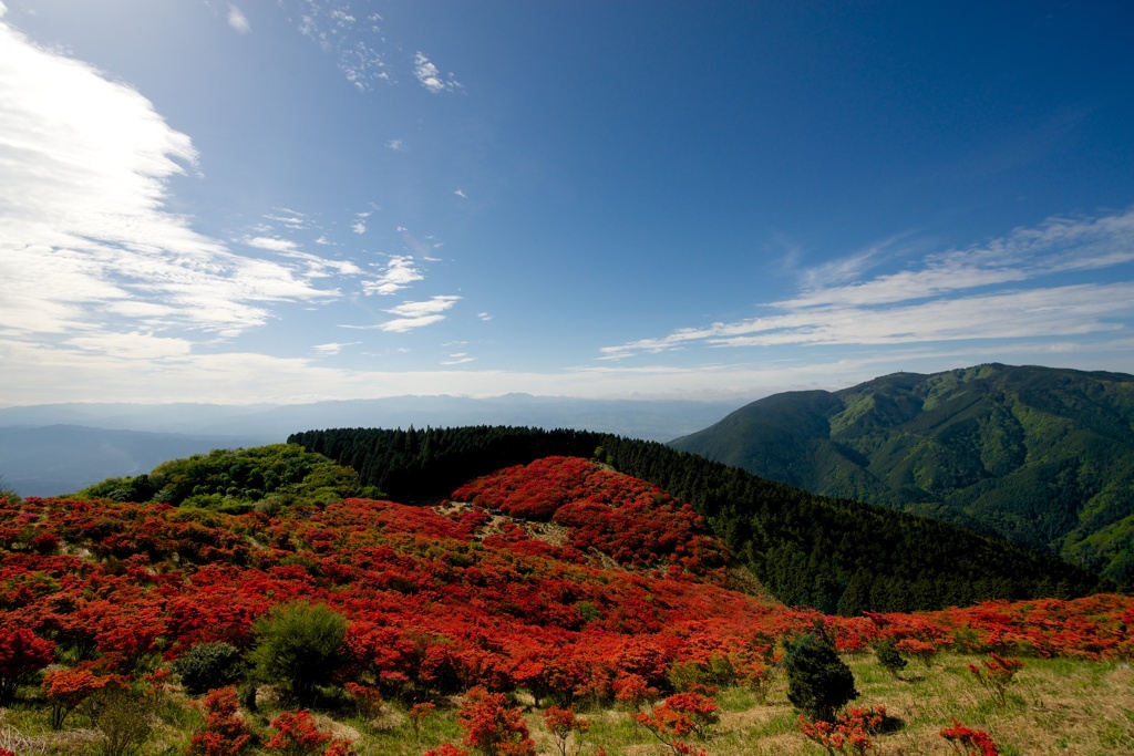 葛城山(2)