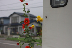 こんにちは〜