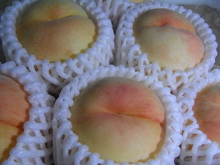 白桃