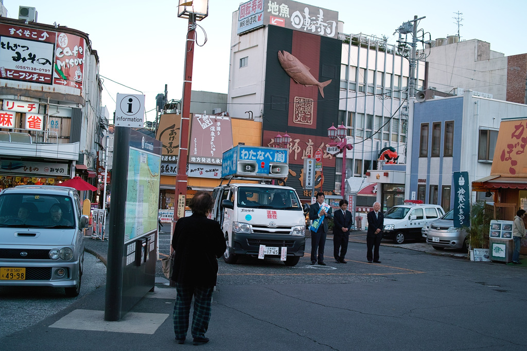 あなただけの政治家