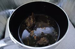 ヒトリグラシ、ハジメマシタ