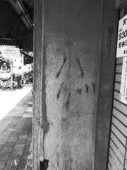 禿