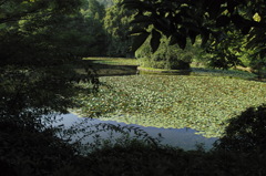 寺
