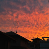 雲