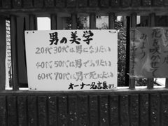 少し早めの死