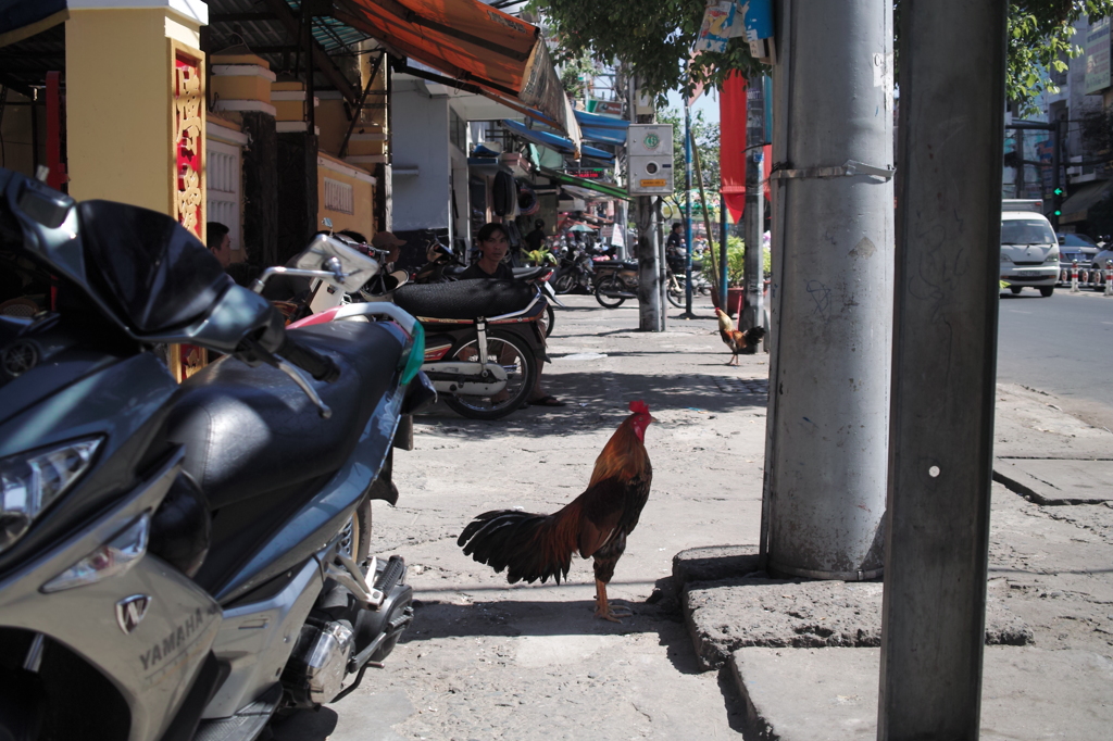 脚が熱いので。。。