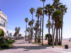 santa monica morning