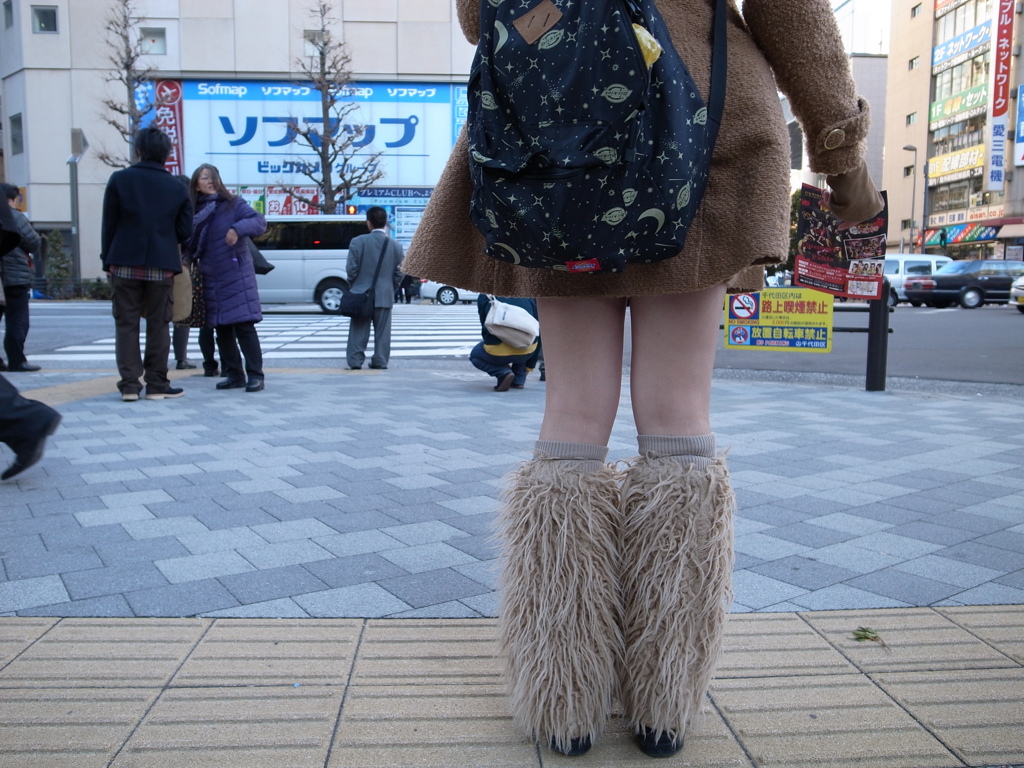 アラスカからの使者