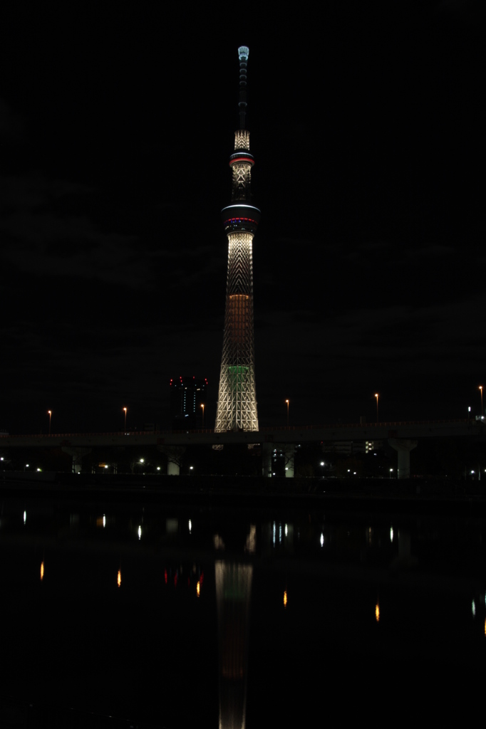 元旦　橙