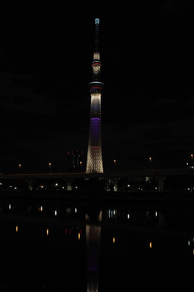 元旦　紫